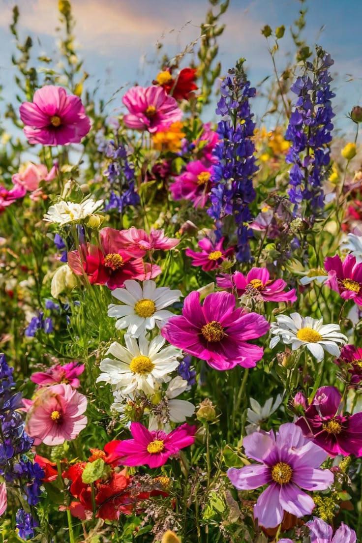 Corporate floral consultation example